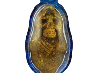 The Golden Grim Reaper (Prai Thong)
