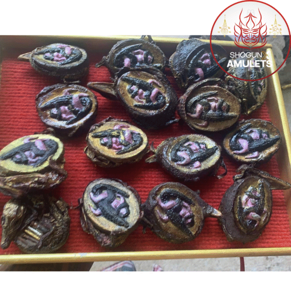 (Wealth Croc X Phaya Chalawan Sep Nang - Image 6
