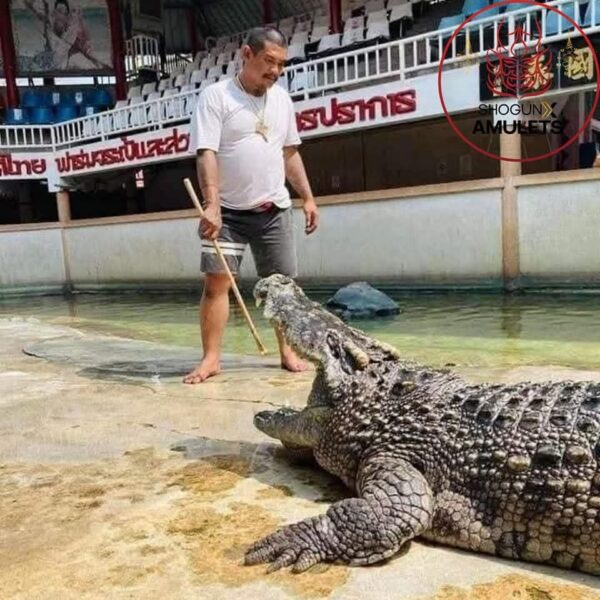 (Wealth Croc X Phaya Chalawan Sep Nang - Image 8