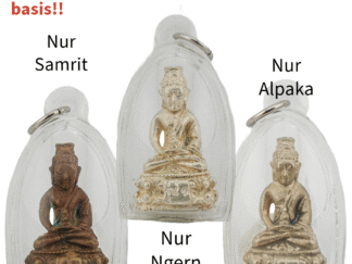 Phra kring Phrong Faa 
(Clear skies/hollow Medicine buddha )