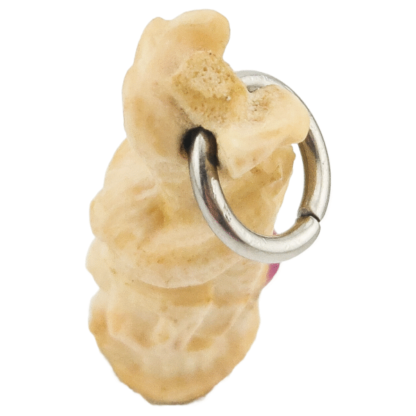𝗦𝘂𝘃𝗮𝗻𝗻𝗮𝗺𝗮𝗰𝗰𝗵𝗮 (𝗠𝗲𝗿𝗺𝗮𝗶𝗱) 𝗣𝗮𝗹𝗮𝗸𝗶𝘁, the lover of Hanuman, embedded with real gemstones. - Image 5