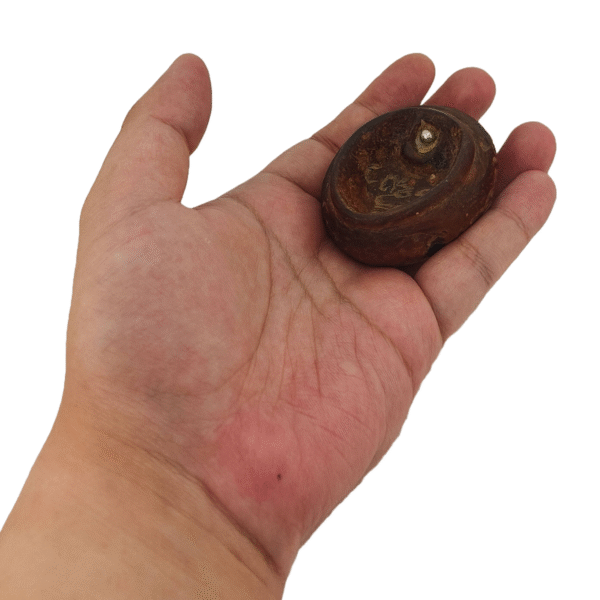 "Yoni Cup" Something for the ladies to use.. - Image 2