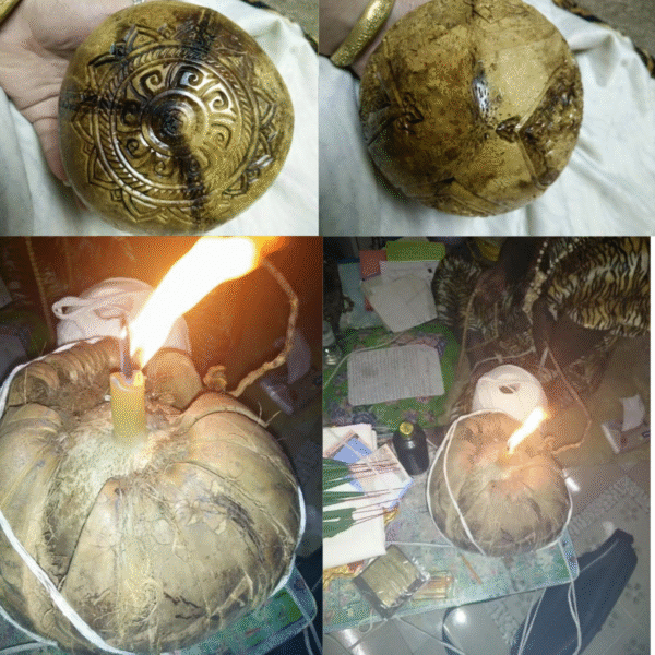 Extremely Rare, Zero Eye Coconut Shell Rahu & Pi Sia (Pixiu) - Image 4