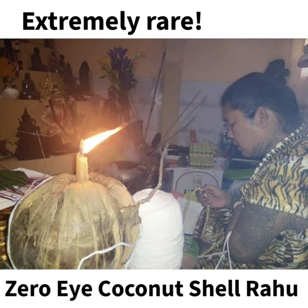 Extremely Rare, Zero Eye Coconut Shell Rahu & Pi Sia (Pixiu) - Image 2