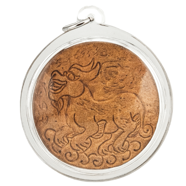 Extremely Rare, Zero Eye Coconut Shell Rahu & Pi Sia (Pixiu) - Image 3