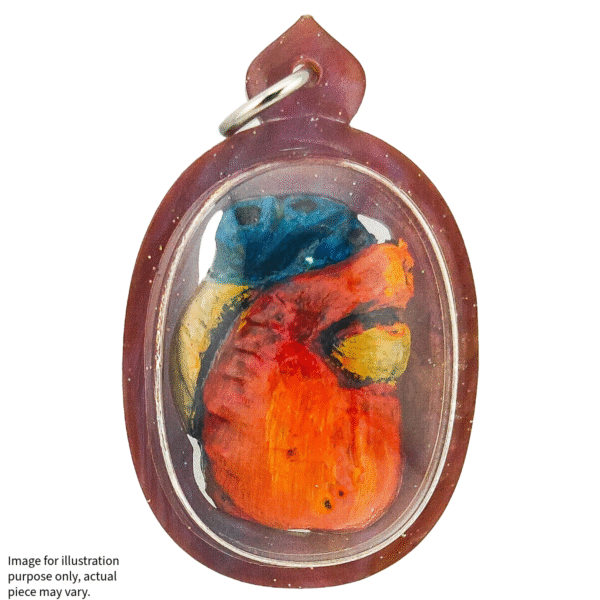 Jai Araya – The Heart That Captivates