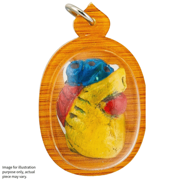 Jai Araya – The Heart That Captivates - Image 4
