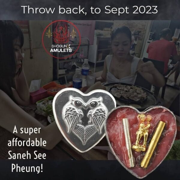 A Powerful Yet Affordable Saneh See Pheung - Image 6