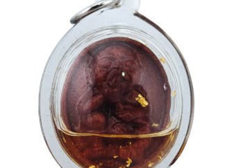 Mai Kaa Dtua Dai Lukkok – The Spirit That Serves Without Mercy