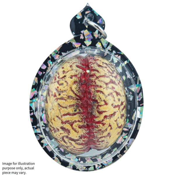 Samong Araya - The Brain Of Desire