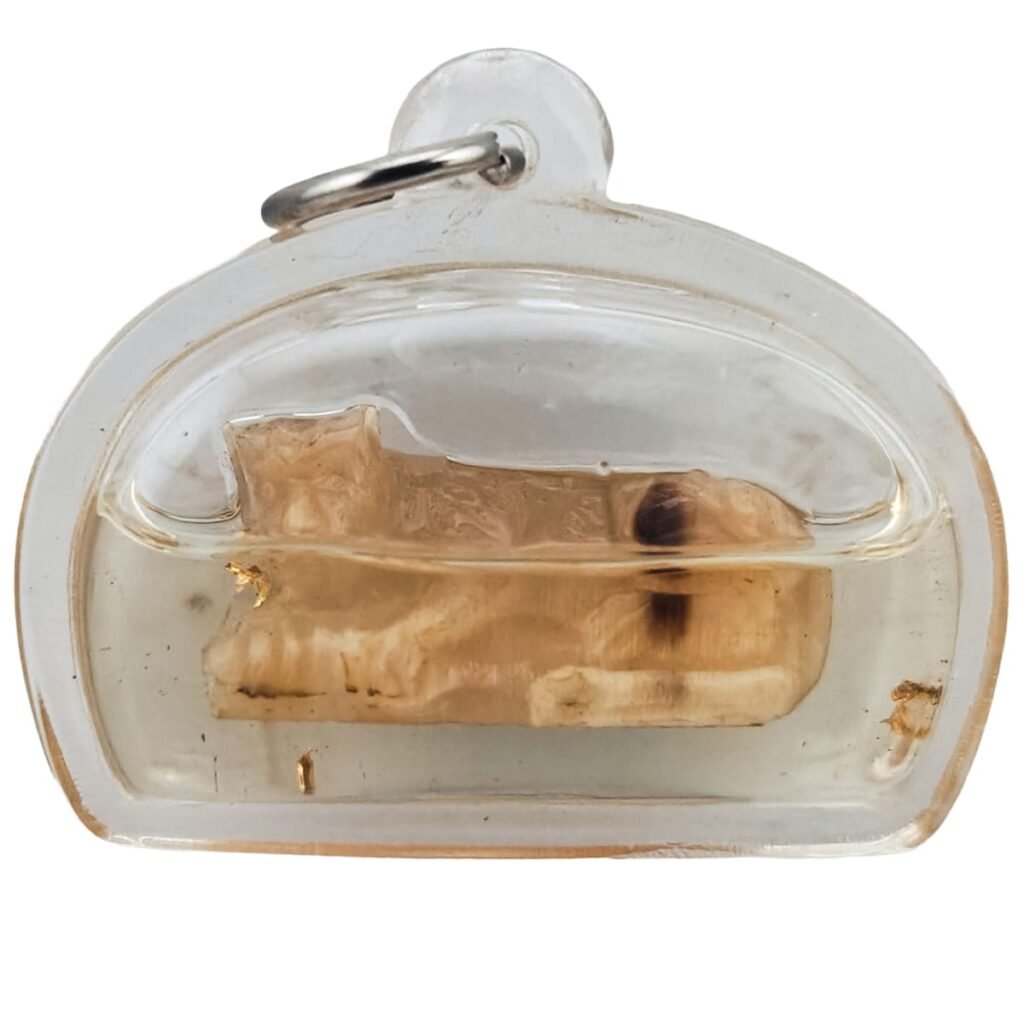 Suea Non Kin Horn Phu Lersi Pong