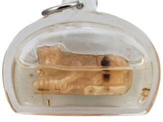 Suea Non Kin Horn Phu Lersi Pong