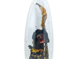 Prai Payon Ajarn Tom