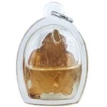 Mae Per Buffalo Horn lightning struck Phu Lersi Pong back