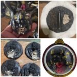 Mae Per Single Prai Ajarn Tom be2565