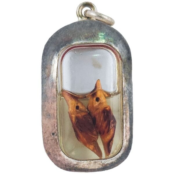 Phaya Pak Kek Twin Salika β The Words-Come-True Amulet by Phu Lersi Pong