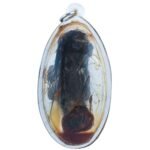 Mae Nak Ajarn Tom back photo