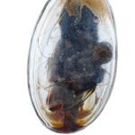 Mae Nak Ajarn Tom close up photo