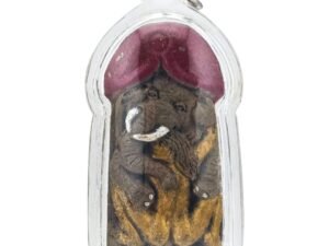 Chang Sep Nang — The Elephant Form of Ma Sep Nang Ajarn Nut front view