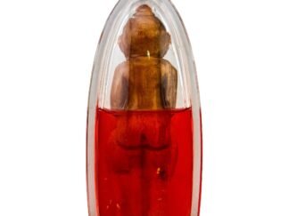 Kumantong Asoon Mai Yor Faa Paa – The Devil’s Child of Wealth & Charm, from a Lightning-Struck Miracle Tree