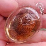 Attract Wealth. Spot Luck. Avoid Loss. — Rare Sacred Wood Owl Amulet