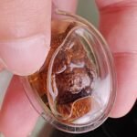 Attract Wealth. Spot Luck. Avoid Loss. — Rare Sacred Wood Owl Amulet