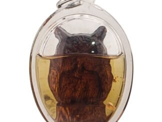 Attract Wealth. Spot Luck. Avoid Loss. — Rare Sacred Wood Owl Amulet