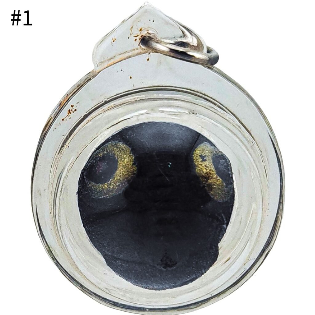 Asoon Loop Om — The Devil's Amulet - Tiny Form. No Limits. #1