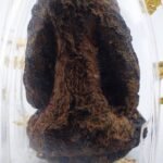 100% Wan Phra Pidta Amulet — Built the Old Way, Not the Easy Way