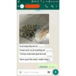 Ptong wealth results money gain proof user feedback
