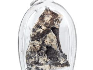 Fossilised Panneng Maa Kin Kwaam Kit Thought-Eating Dog Wicca by Phu Lersi Pong showing fossilised Prai Panneng and dual takruts.