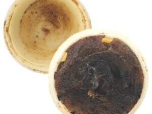 See Pheung Sam Palang in its original simple tub, opened to show the aged dark see pheung against a white background