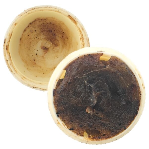 See Pheung Sam Palang in its original simple tub, opened to show the aged dark see pheung against a white background
