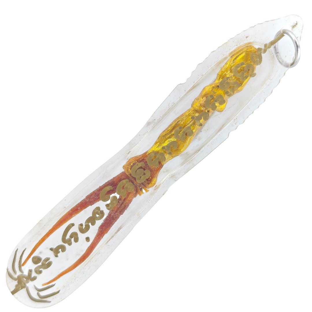 Reverse view of Ajarn Nut's old-batch Jinchok Song Hang two-tailed lizard amulet, showing the gold-coloured body and original transparent casing.