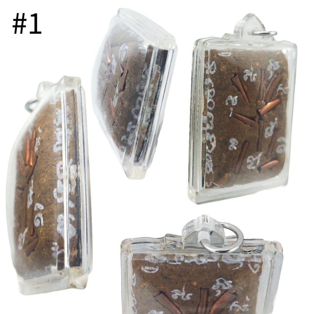 Multiple angled views of Tamlar Eating Bug Locket piece 1 showing its brown amulet surface, thickness and clear sealed casing.