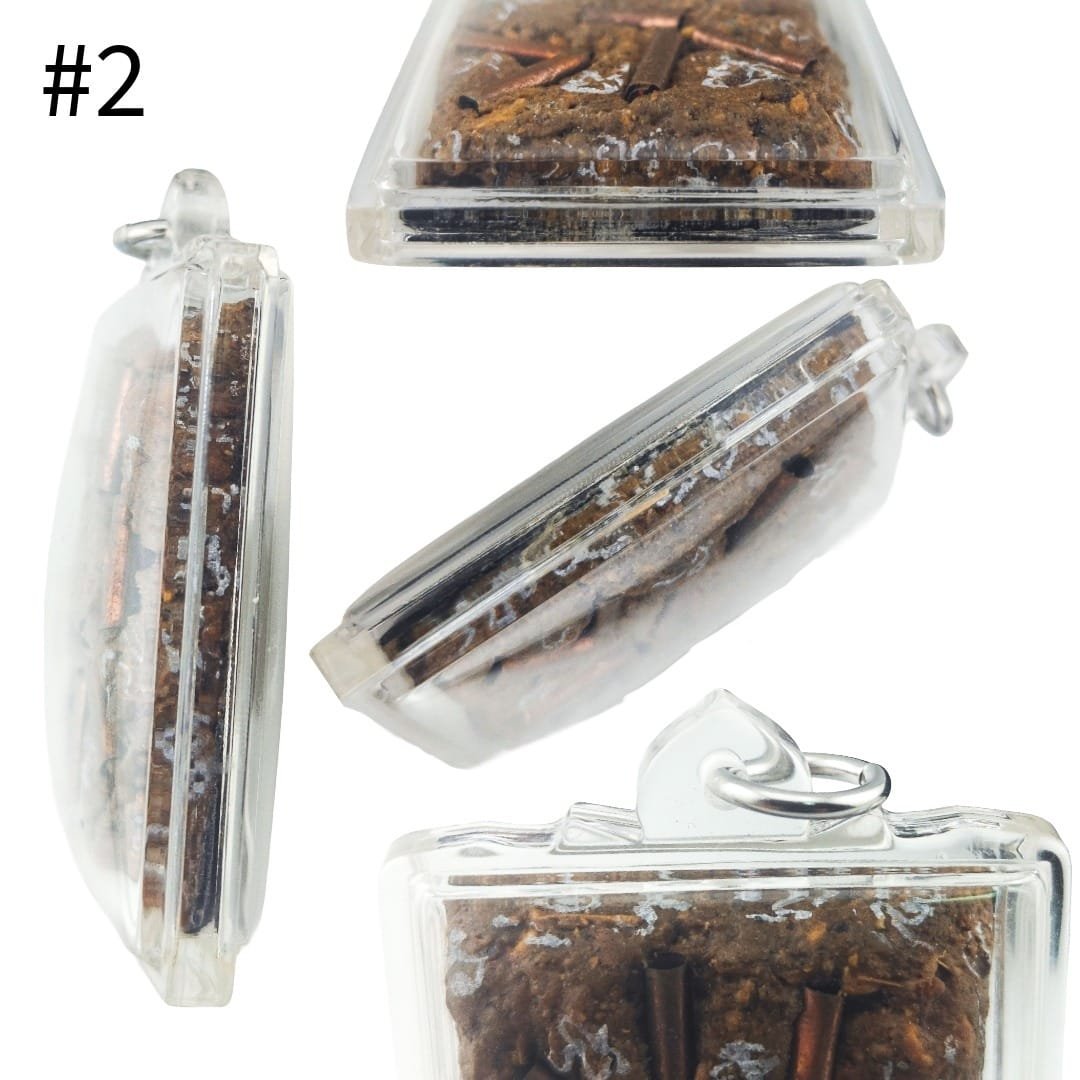 Multiple angled views of Tamlar Eating Bug Locket piece 2 showing its brown amulet surface, thickness and clear sealed casing.