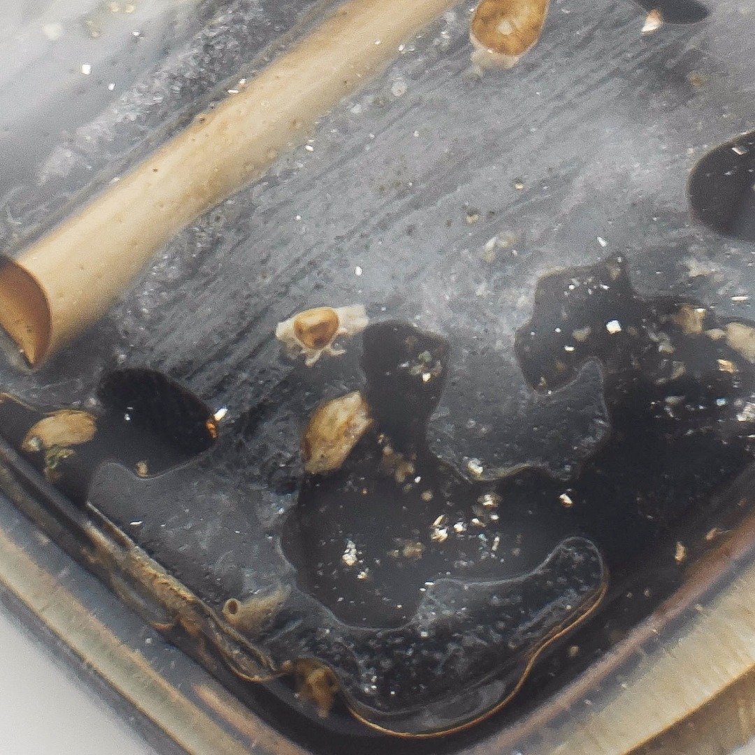 Magnified detail of Ajarn Tay's Panneng Ngan showing embedded fragments and dark prai materials beneath the casing.